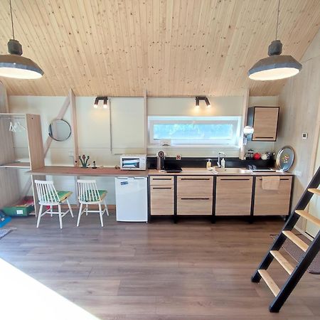 Modern Sauna Cabin In Horse Ranch Liyeplauke Dış mekan fotoğraf