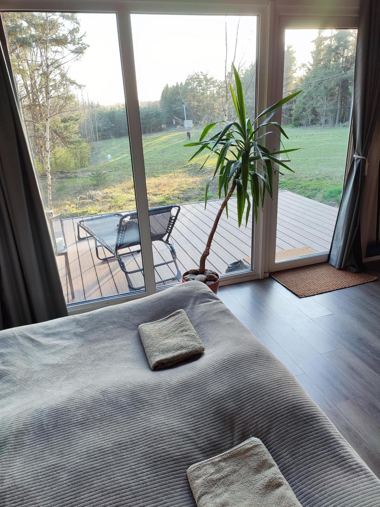 Modern Sauna Cabin In Horse Ranch Liyeplauke Dış mekan fotoğraf